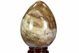Colorful, Polished Petrified Wood Egg - Triassic #107392-1